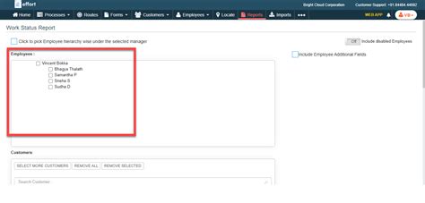 Generate a Work Status Report