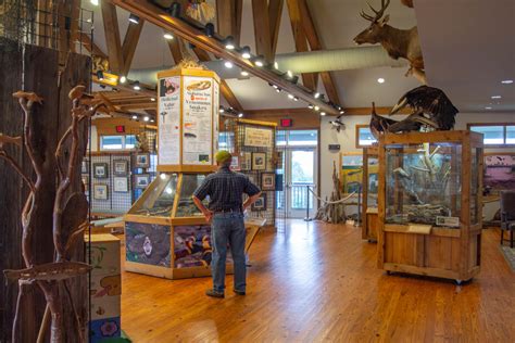 Alabama Coastal Connection National Scenic Byway: 20 Things to Do