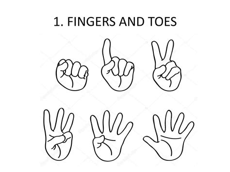 Image result for Counting Methods