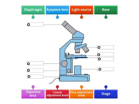 Image result for Microscope Labeled