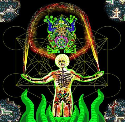Kambo Medicina Indigena: Traditional Healing Practices