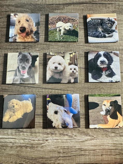 9 Pack - 2.5"x2.5" Picture Magnetics – Making Memories Magnetic