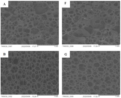 Analysis of Factors Influencing the Efficiency of Catalysts Used in ...