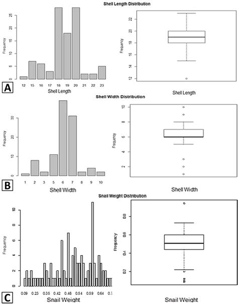Image result for Sharing a Shell Plot