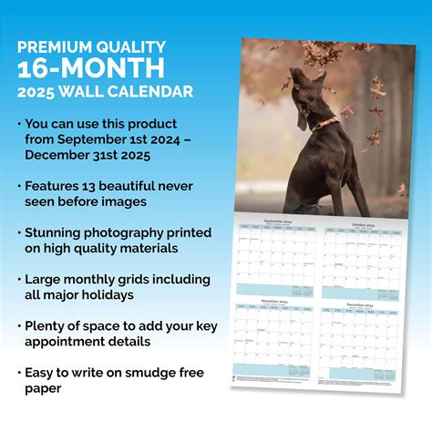 Baker and Bray Great Dane Calendar 2025, Large Square Wall Calendar, 16 ...