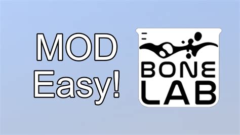 How to Install Code Mods On BoneLab 的图像结果