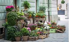negozio fiori come aprire negozio di fiori negozio fiori come aprire negozio di fiori