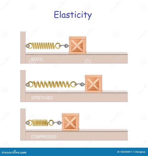 Elastic Potential Energy What Is Elastic Potential Energy? A Plus
