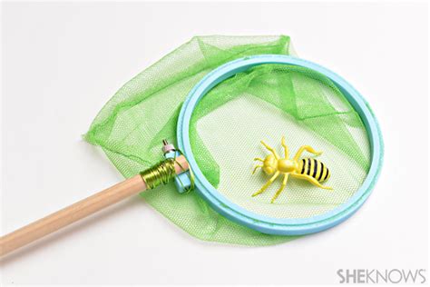 DIY Insect Net 的图像结果