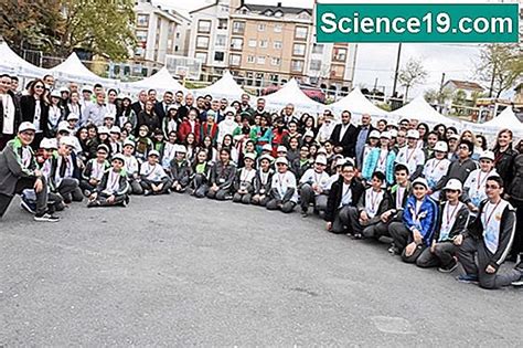 Volcano Science Fair Project 的图像结果