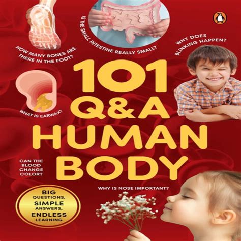 101 Q&A Human Body — Toycra