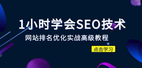 1小时学会SEO技术 网站排名优化实战高级教程-秒杀市面95%收费几千的SEO教程 - 刺鸟网