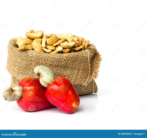 Raw Cashew Nuts Fresh Cashew Nut Pour from Sack Stock Photo - Image of ...