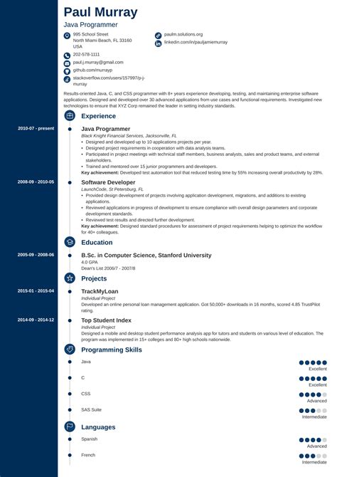 Programmer Resume 的图像结果