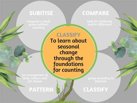 Image result for Classify