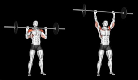Barbell Standing Military Press: Guide, Muscles Worked, Tips | Athlemove