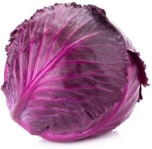 Aywal Purple Red Cabbage Kitchen Garden Variety Seed Price in India ...