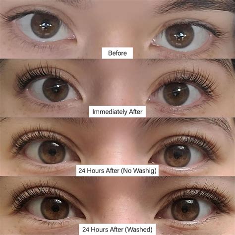 Lash Lift Kit + Color Kit by Livia - Perfectly India | Ubuy