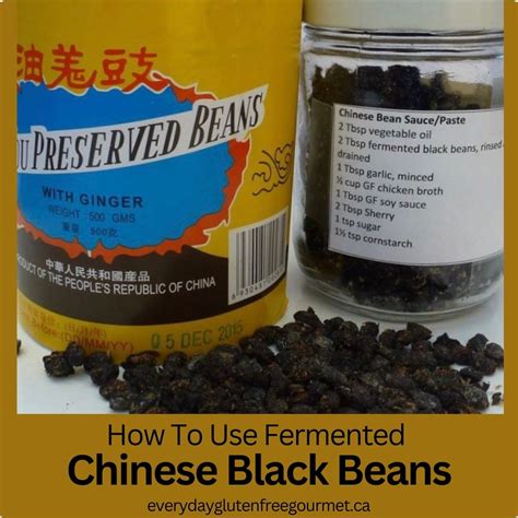 Chinese Fermented Black Bean Sauce NineChef Bundle Lee Kum Kee Chili