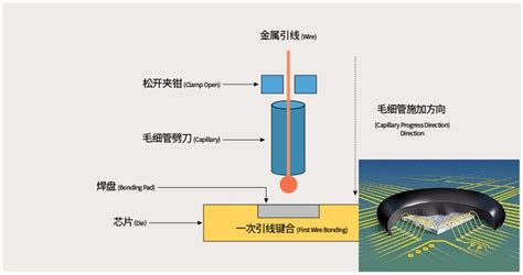 Image result for Wire Bonding Loop