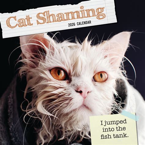 2026 Cat Shaming - Square Wall Calendar