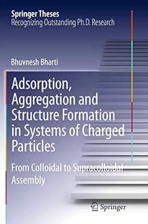 Adsorption, Aggregation and Structure Formation in Systems of Charged ...
