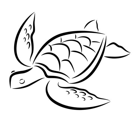 How To Draw A Sea Turtle