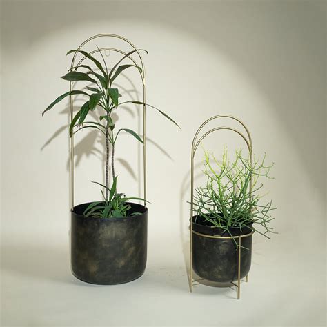 Gold Collection – Muun Home