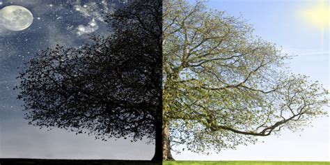 Bright Side Computer 的图像结果