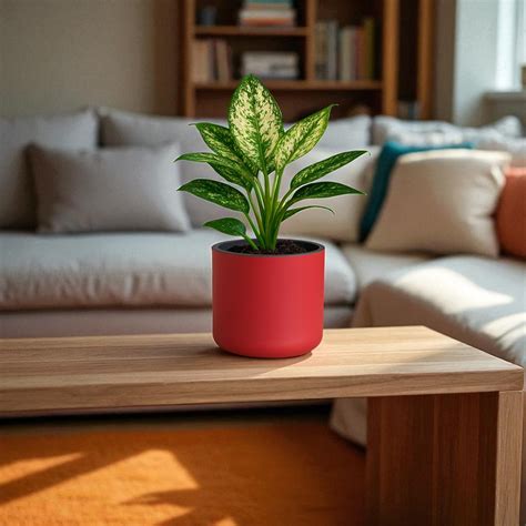 Classic Maroon Self-Watering Round Planter – Indian Discovery