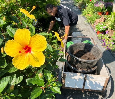 With rise in cremations, tourist attractions, parks battle problem of ...