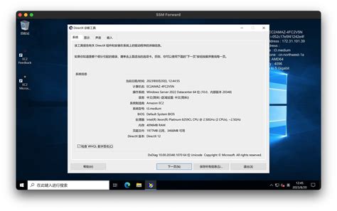 RDP Manager Tutorial 的图像结果