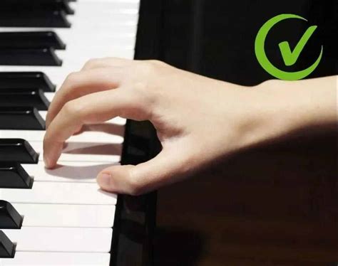 弹钢琴的手型(弹钢琴的正确手型详细讲解)_环球信息网
