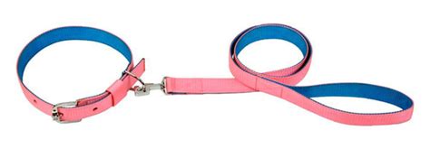 Kennel Soft Nylon Two Color Collar and Leash Set (1") (Large) – ShakeHands