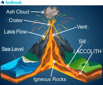 Image result for Shield Volcano Examples