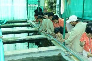 A FIELD VISIT TO CIFA - Best CBSE School in Bhubaneswar, Odisha, SAI ...