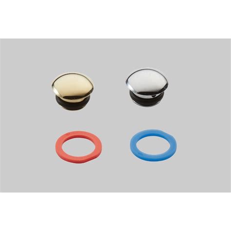 Moen Handle Cap Kit - (115034) | Zoro
