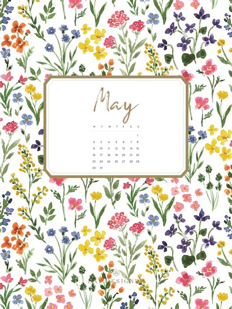 May Desktop Calendar Wallpaper 2022 at Julian Fairfield blog