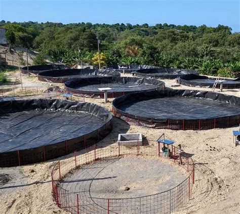 Home Environment Perú – ¡Bienvenido a HOME ENVIRONMENTAL PERU SAC!