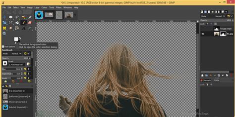 Image result for GIMP Tutorial On Removing Any Background