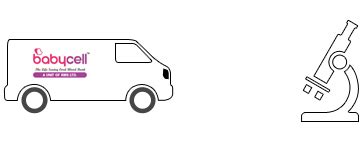 Cord Blood & Tissue Banking with Cryopreservation - Babycell