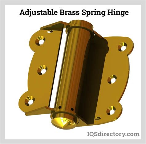 Image result for Double Action Spring Hinge