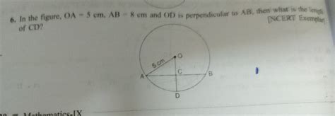 can you answer this question please and fast - Brainly.in