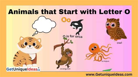 List of 100 Animals that Start with O: Pictures, Facts - GetUniqueIdeas