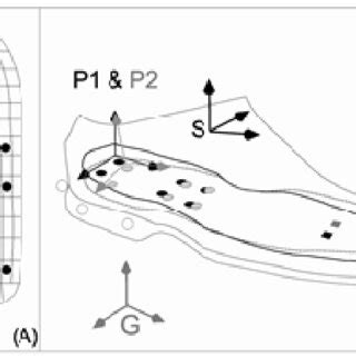 Global to Local Reference Frame 的图像结果