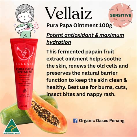 Green Valley Pura Papa Ointment 100g | Fresh Fermented Carica Papaya ...