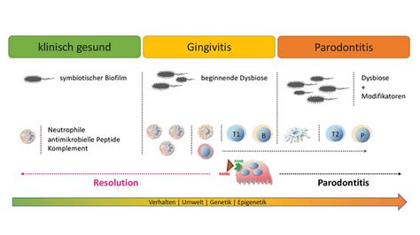 Parodontitis und der orale Biofilm – von der lokalen zur systemischen ...