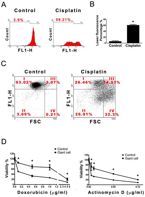 Cisplatin-Induced Giant Cells Formation Is Involved in Chemoresistance ...