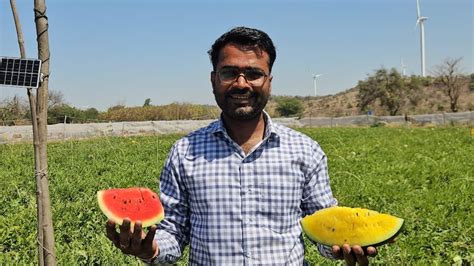 लाखों का पैकेज छोड़ खेती चुनी, आगर मालवा का ये किसान लाल‑पीले तरबूज की ...