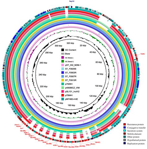 Salmonella Typhimurium with Eight Tandem Copies of blaNDM-1 on a HI2 ...